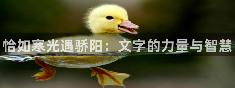 香蕉漫画网：恰如寒光遇骄阳：文字的力量与智慧