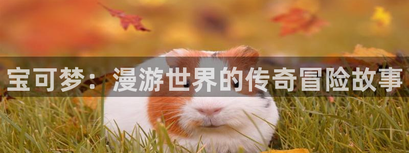 香蕉漫画黄漫免费网站：宝可梦：漫游世界的传奇冒险故事