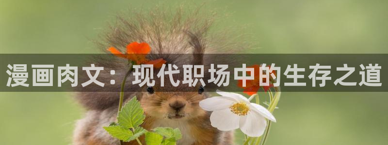 www.香蕉漫画.com：漫画肉文：现代职场中的生存之道