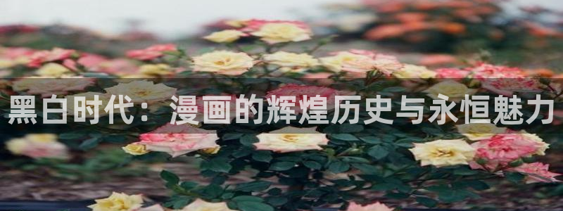 香蕉漫画登录：黑白时代：漫画的辉煌历史与永恒魅力